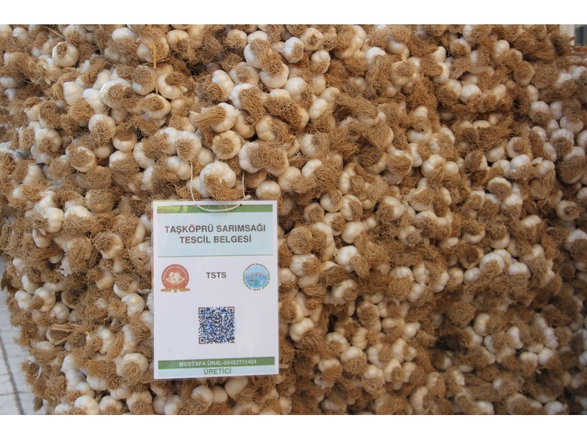 TAŞKÖPRÜ SARIMSAĞI (Duble) 1 KG