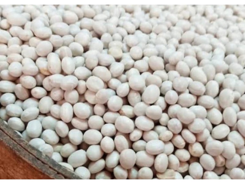 Kastamonu Şeker Fasulye 1 KG